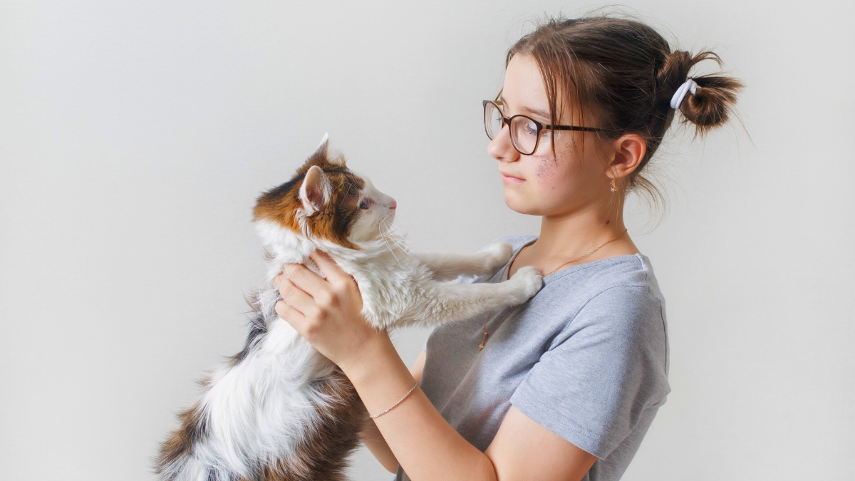 7 señales de que tu gato no está unido a ti