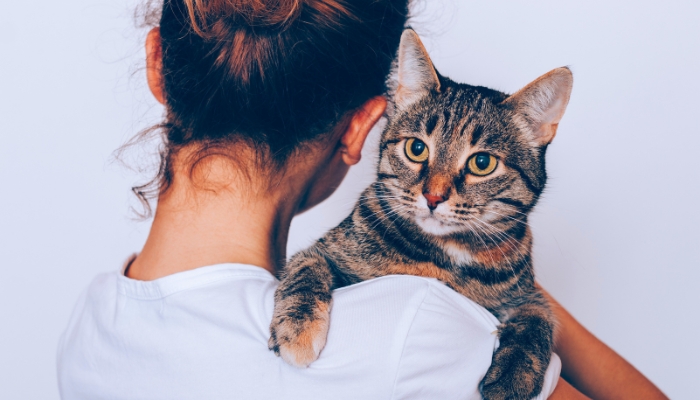 ¿Tu gato te ve como su madre?