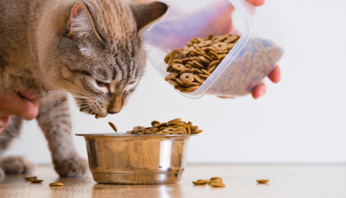 La comida seca de los gatos es mejor que la comida húmeda